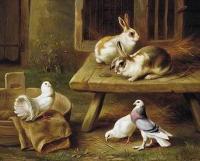 动物兔子画
